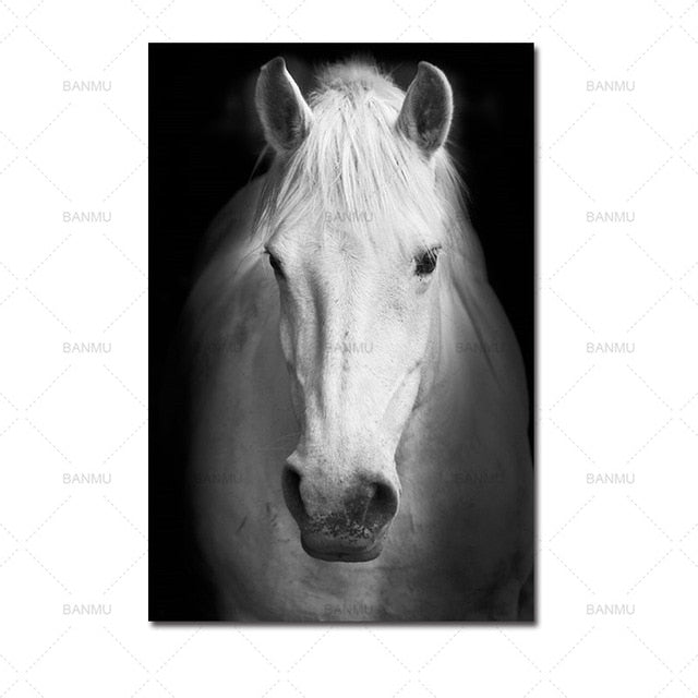 Home decor Wall art animal canvas painting  Wall Pictures print  for Living Room Art Decoration Pictures No Frame morden print